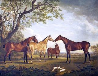 Four Horses in a Landscape