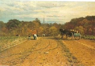 The Potato Harvesters