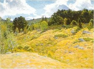 Summer Landscape
