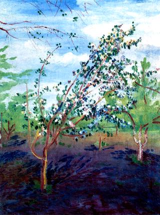 The Orchard