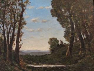At the edge of the forest
