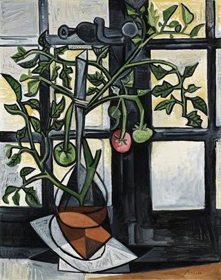 Tomato Plant