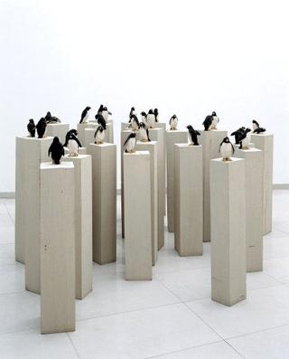 57 Penguins
