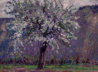 Spring Landscape