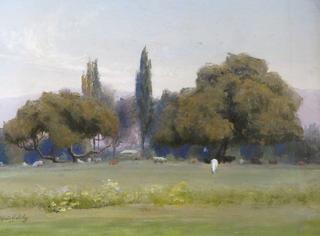 Chilean Landscape