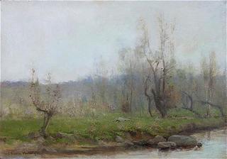 Trees by River