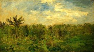 'The Young Corn'