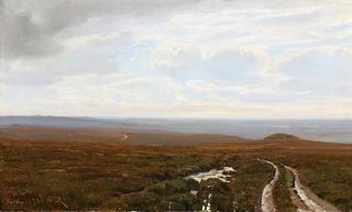 Taarup moor in Jutland