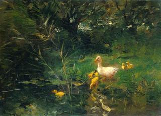Ducklings