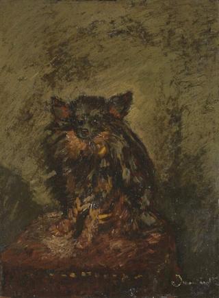 Dog on a Chair