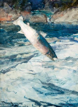 Leaping Grilse