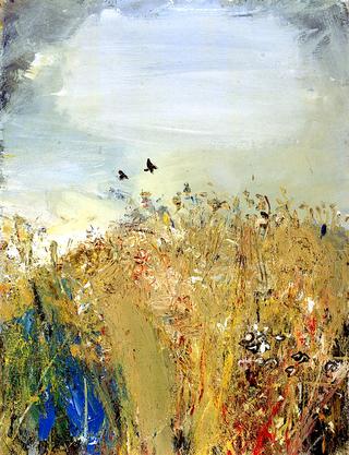 Field and Birds