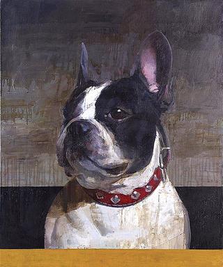 Portrait of Gaucho