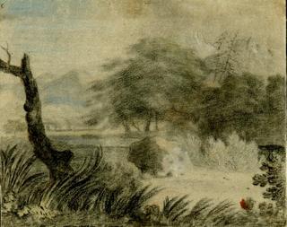Wooded Landscape