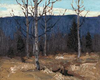 Hillside on Big Cauchon lake - Algonquin Park