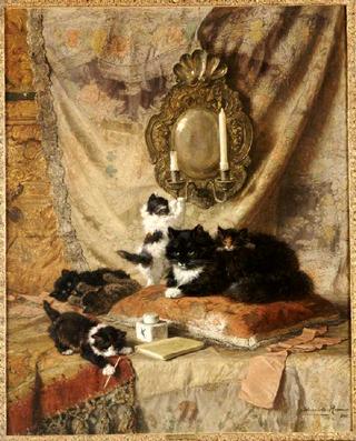 Playing Kittens