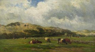 Cows at Bloemendaal