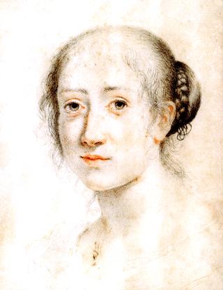 Portrait of a Young Woman