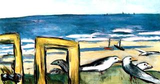 Seagulls, Sunny