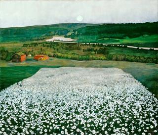 Flower Meadow in the North