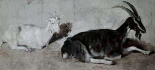Two Goats
