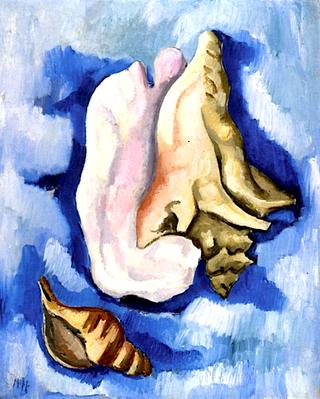 Shells