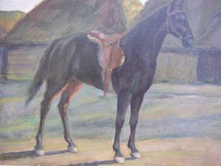 A Horse