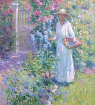 Larkspurs