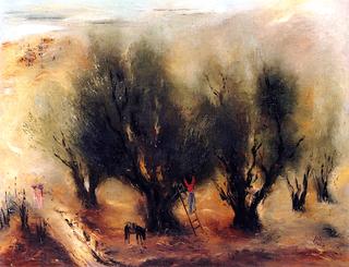 Olive Trees