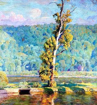Lone Sycamore