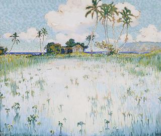 The Taro Field, Keanae, Maui