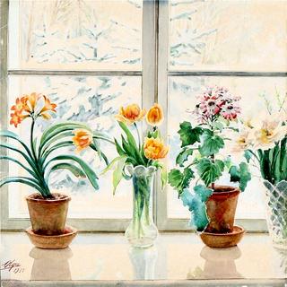 Flowers in a window sill