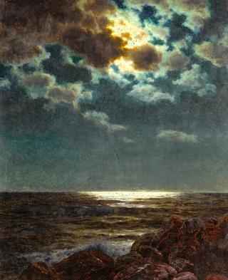 Moonlit Night