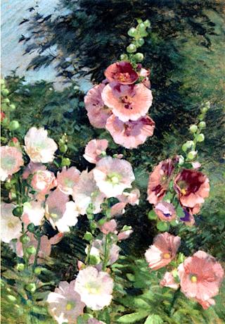 Hollyhocks in the Sunshine