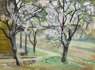 Blossoming Fruit Trees