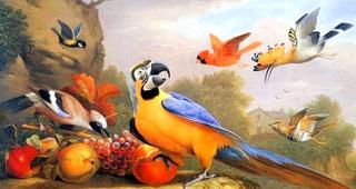 Exotic Birds