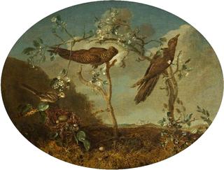 Cuckoos Displacing a Finch's Egg