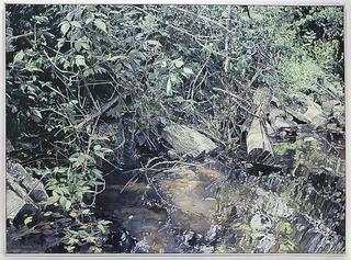 Riverbank in Cedarburg, Wisconsin
