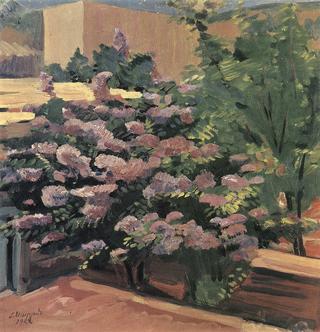 丁香花