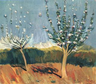 Apple Trees in Flower
