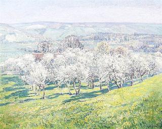 Flowering Orchard