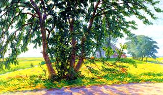 Landscape, Wierumerschouw