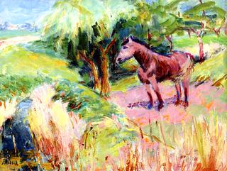 A Horse in the Field