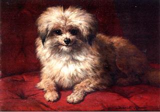 Fido