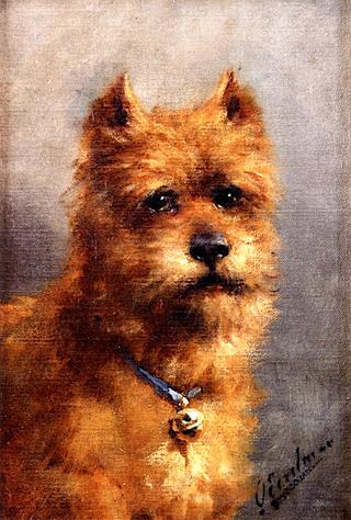 A Terrier