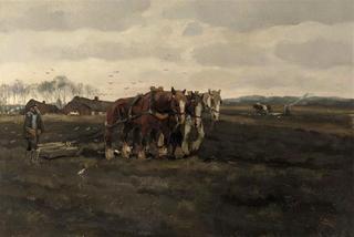 Horses ploughing the land