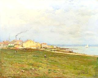 View of Estuary
