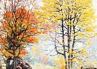 Autumn Glory