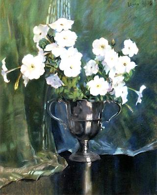 White Petunias in a Footed Silver Cup