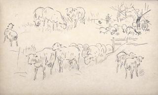 Study of sheeps and shepherds